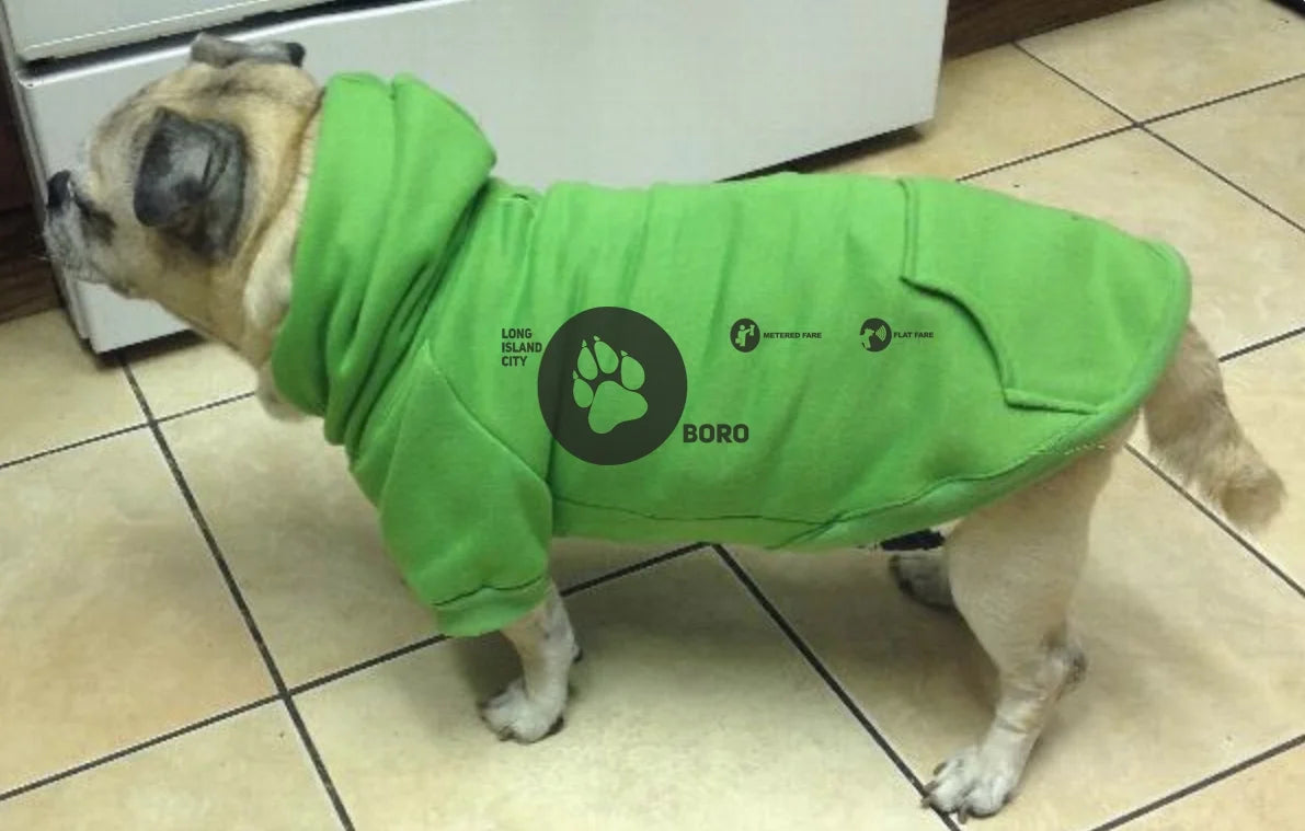 Dog wearing a green hoodie with a paw print logo on a tiled floor.
